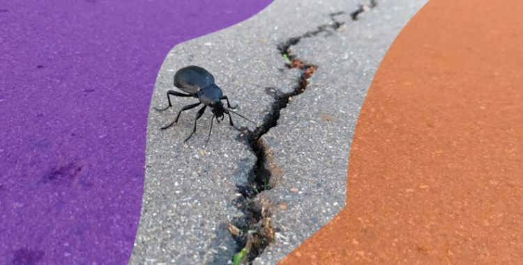 Больше безопасности для серьёзной работы: выпущен Dr.Web Security Space 2.0.0 для ОС Аврора