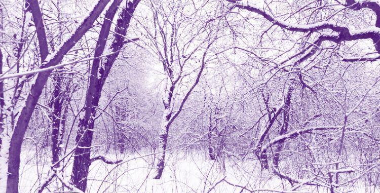 Лаборатория Касперского. Сделки в даркнете: как происходит саморегуляция внутри преступного сообщества