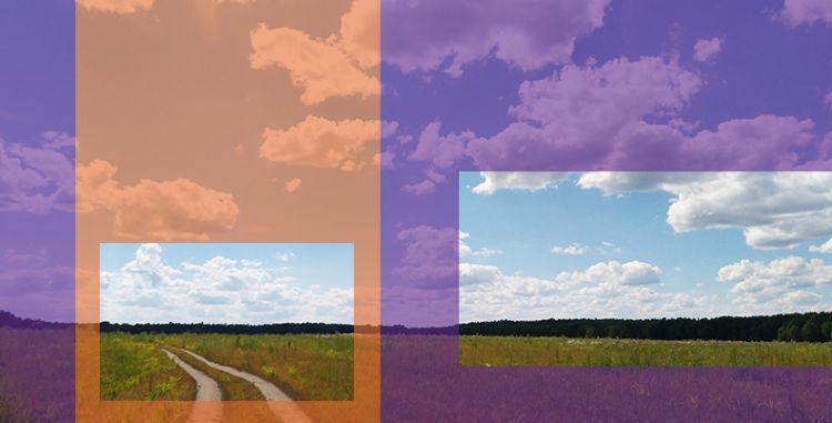 Почему больше половины россиян не выкладывают фотографии с супругами и партнёрами