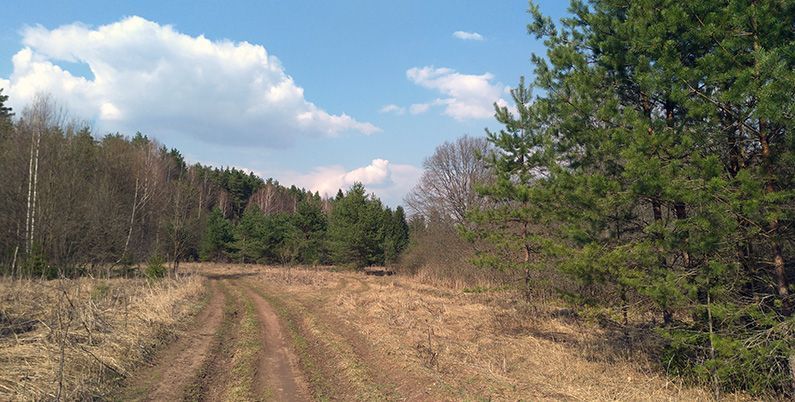 Лаборатория Касперского. Каждый десятый геймер в России инвестирует крупную сумму денег в улучшение своего игрового процесса