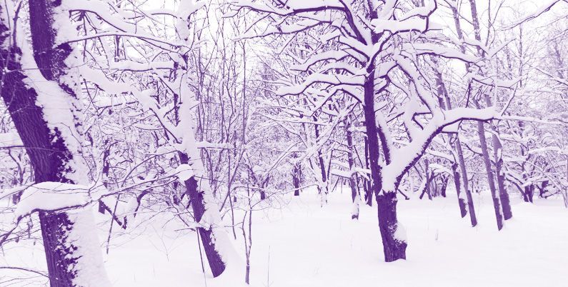 ИТ-компания «Инфосистемы Джет» интегрировала платформу для защиты от сложных таргетированных атак Kaspersky Anti Targeted Attack Platform (KATA) в свою корпоративную сеть